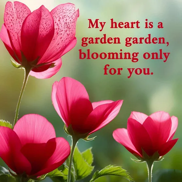 How to Say I Love You in a Poetic Way