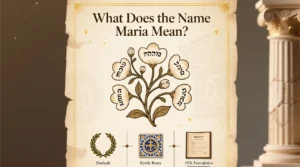 Read more about the article What Does the Name Maria Mean? 🌸